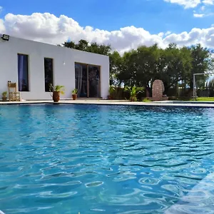 https://villa-nice.essaouirahotels.net